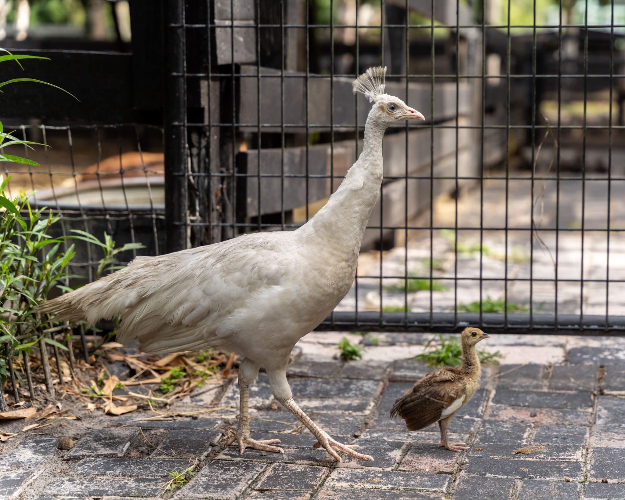 Everyday moments at the sanctuary