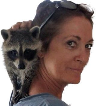 Karen Ann Holland