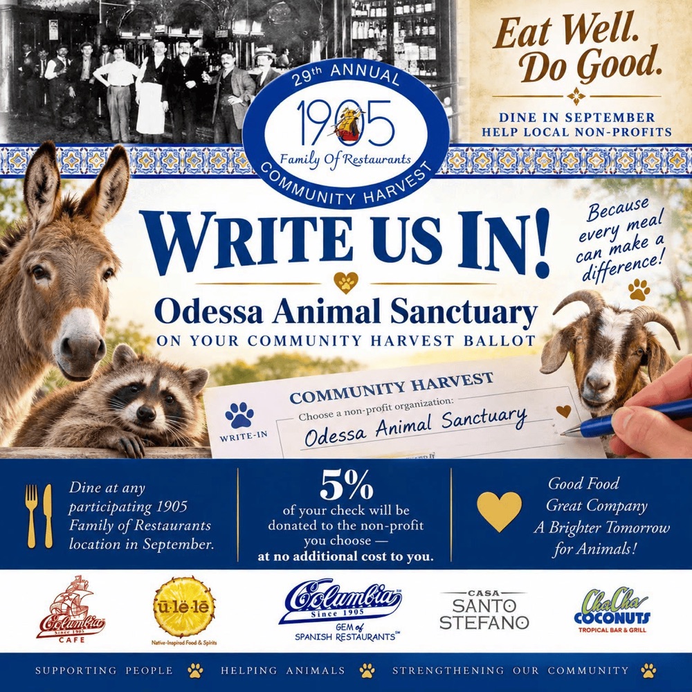 Write Us In! Odessa Animal Sanctuary on your 29th Annual Community Harvest ballot. Dine at any participating 1905 Family of Restaurants location in September. 5% of your check will be donated to the non-profit you choose at no additional cost to you. Participating restaurants: Columbia Cafe, Ulele, Columbia Restaurant, Casa Santo Stefano, and Cha Cha Coconuts.